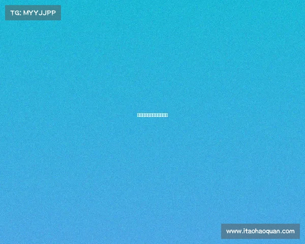 球队的赛事—球队赛事结果